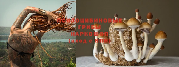 прущие крисы Коряжма