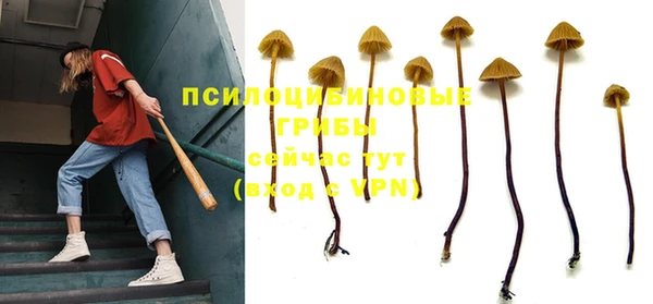 мяу мяу мука Корсаков