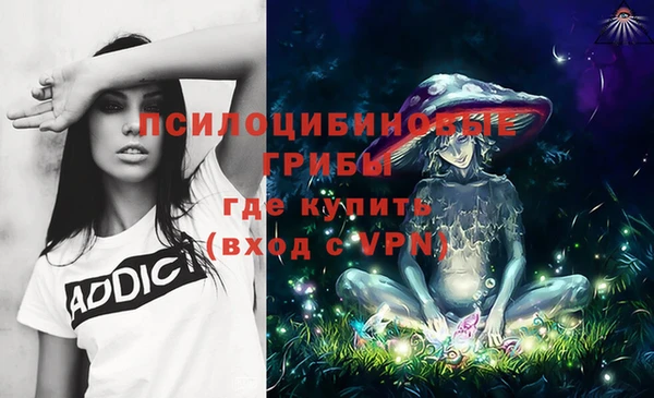 прущие крисы Коряжма