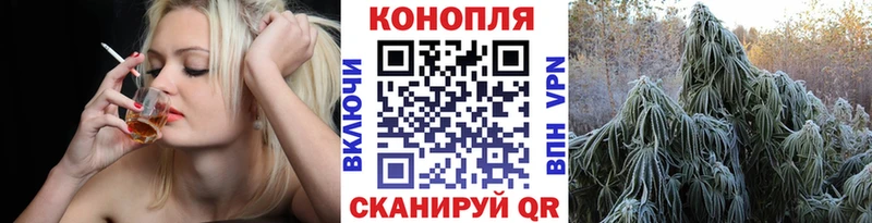 Конопля план Благодарный
